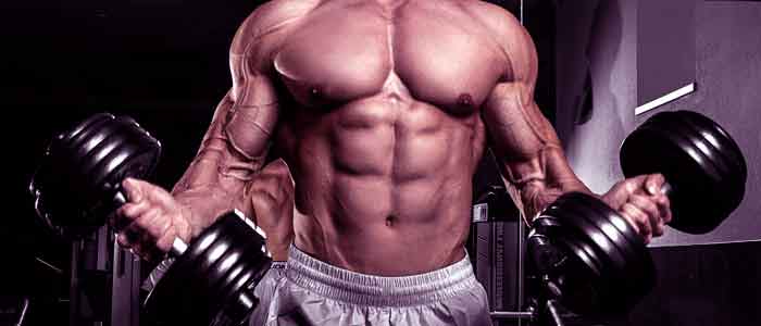 Buy Anabolic Steroids Online, the best anabolic online store