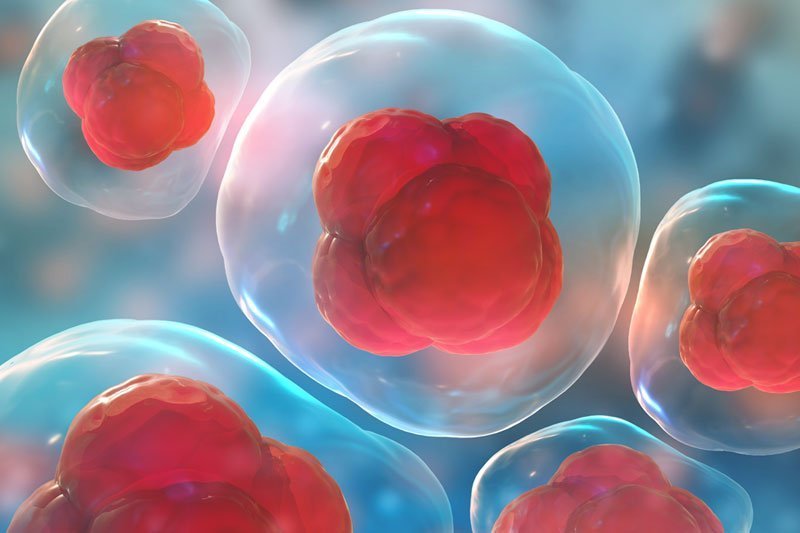 Stem Cell Therapy for ALS