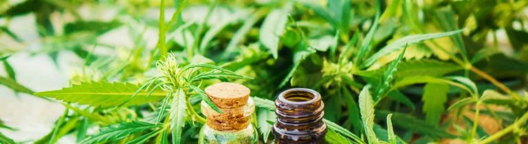 What are the advantages and applications of using products containing CBD?