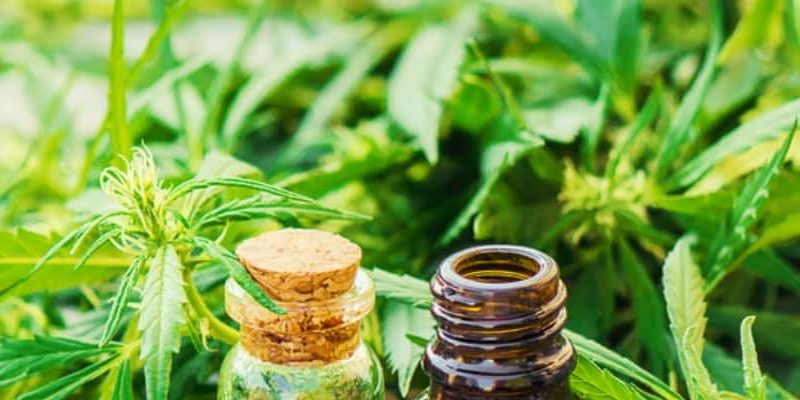 What are the advantages and applications of using products containing CBD?