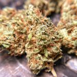 process to remove thc from your body