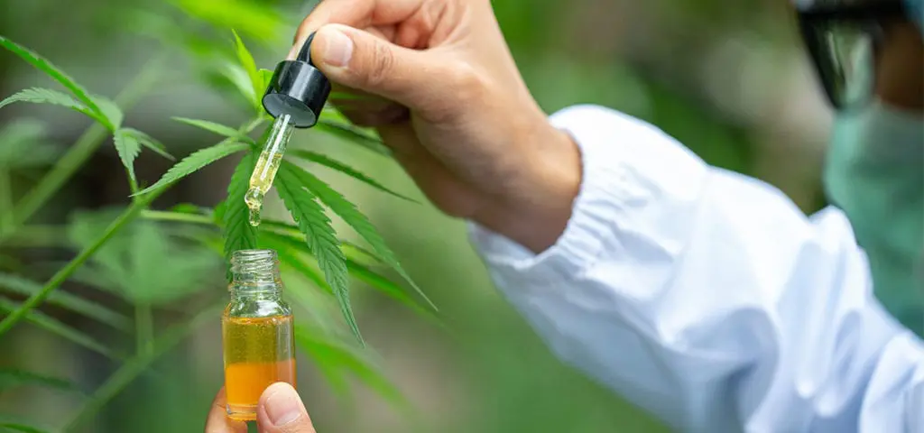 Top thc brands recommended by theislandnow.com