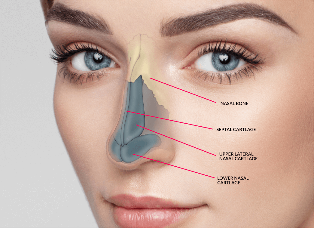 Different Types Of Rhinoplasty Procedures