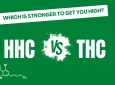 Does HHC Get You High